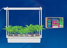 Набор для растений «Минисад» Uniel ULT-P34-10W/SPSB IP40 WHITE 12 кашпо картинка 